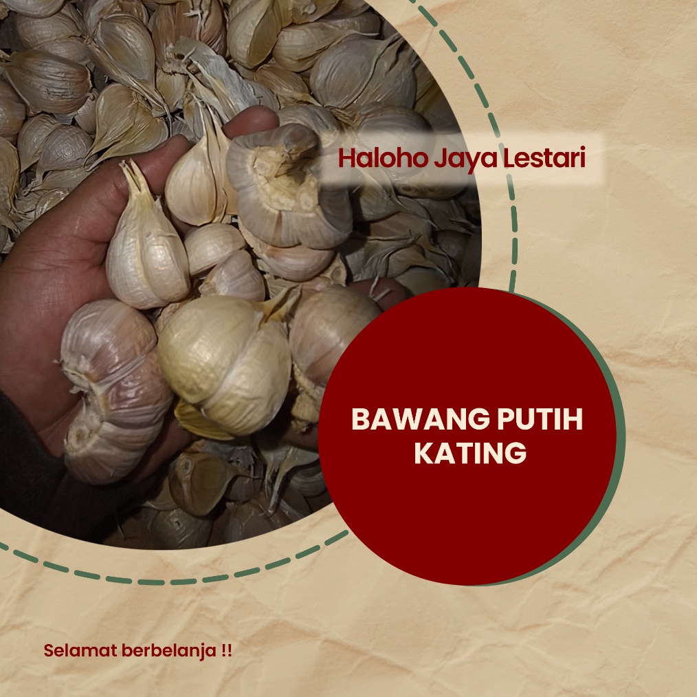 

WXSW1930 BAWANG PUTIH KATING