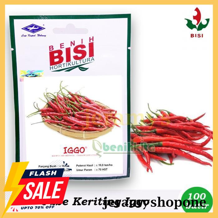 CUCI GUDANG BENIH-BIBIT CABE KERITING IGGO F1 (BISI) 