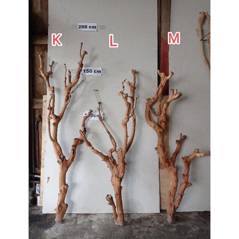 Batang Kayu Pohon Lamtoro Kering Properti Foto Pajangan Hiasan Ruang tamu Kamar