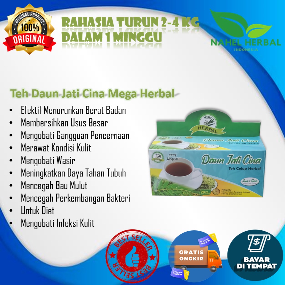 promo teh celup pelangsing daun jati cina mega original 100% alami - obat diet herbal pengurus badan