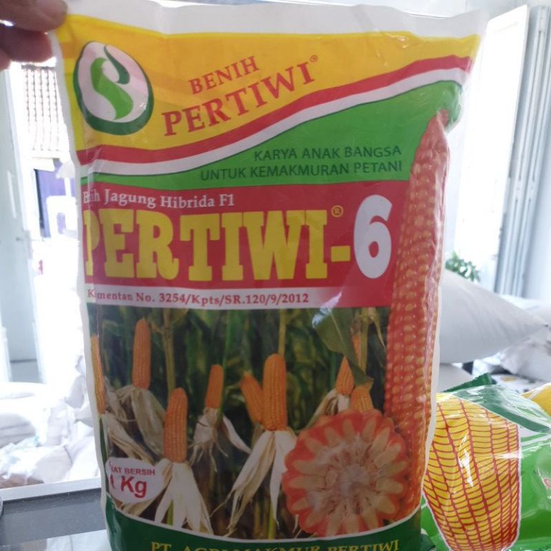 

Pertiwi 6