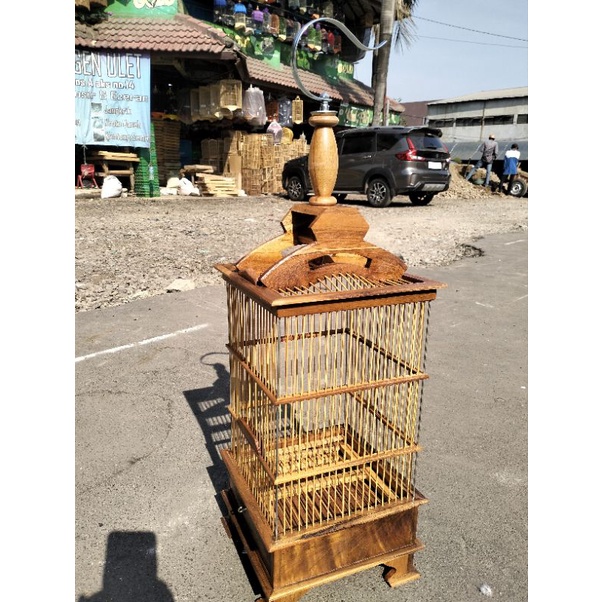 SANGKAR KANDANG PLECI PCMI PERNIS.