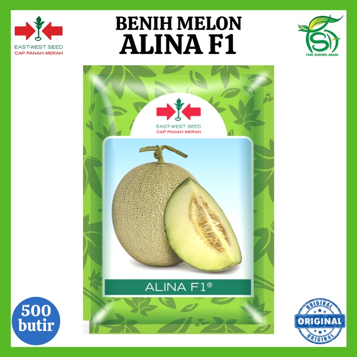 Benih Melon ALINA F1 500 Biji - Bibit Cap Panah Merah Tahan Virus