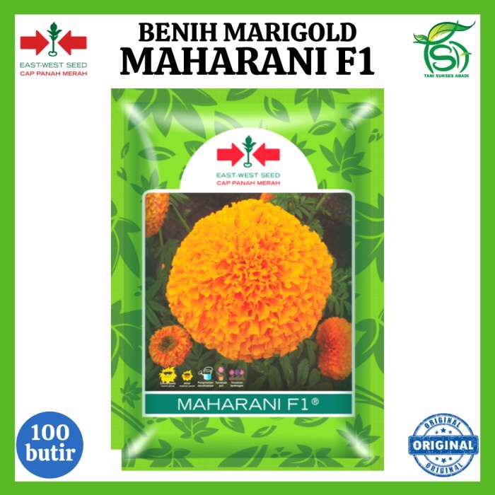 Benih Marigold MAHARANI F1 (100 Butir) - Bibit Bunga Cap Panah Merah