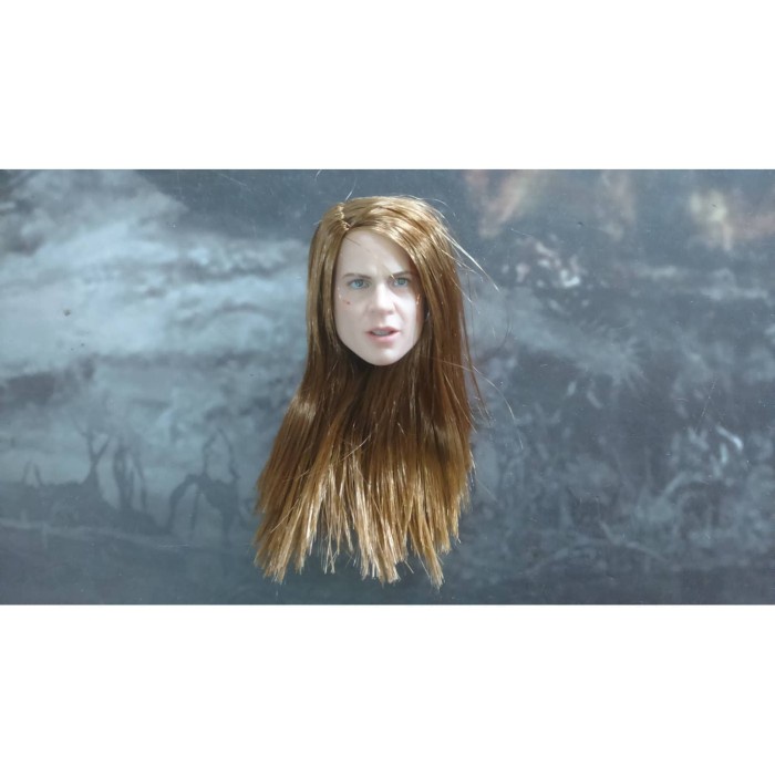 ✨New Ori Flagset Verycool Enterbay Tbleague Pichen Hot Toys Sarah Head Only Diskon