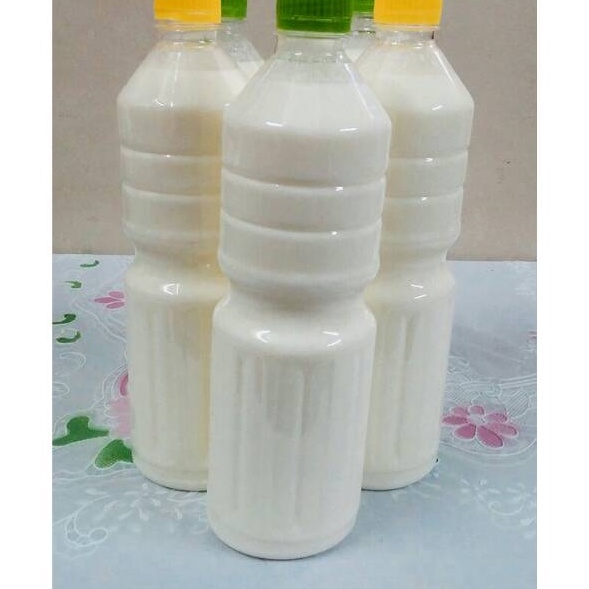 

Terkini Susu Kefir Kambing 1 Liter