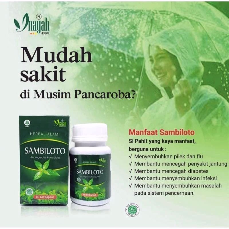 KAPSUL SAMBILOTO ANTIBIOTIK ALAMI