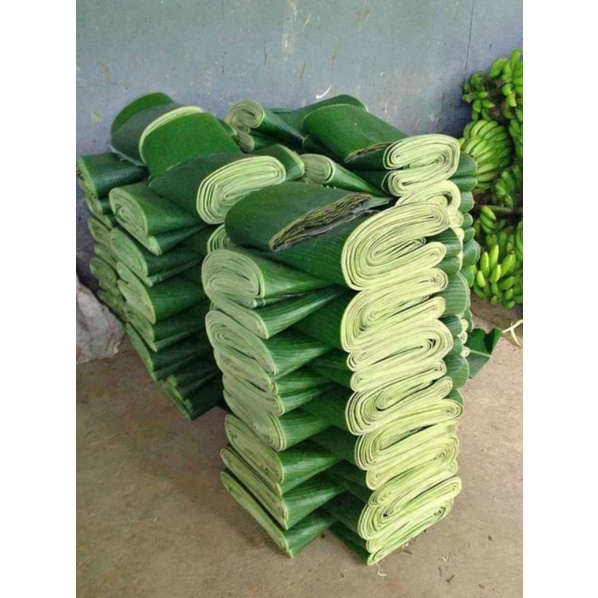 

daun pisang segar