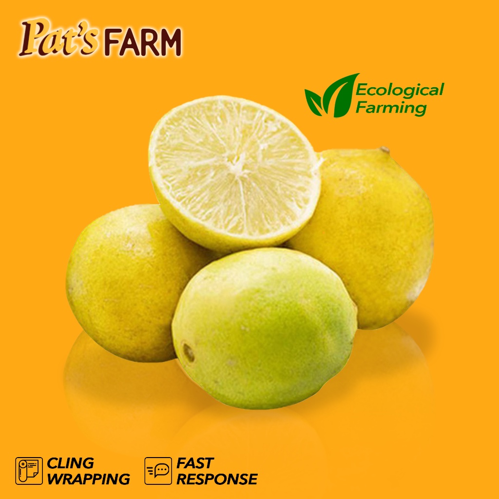 

Jeruk Lemon California
