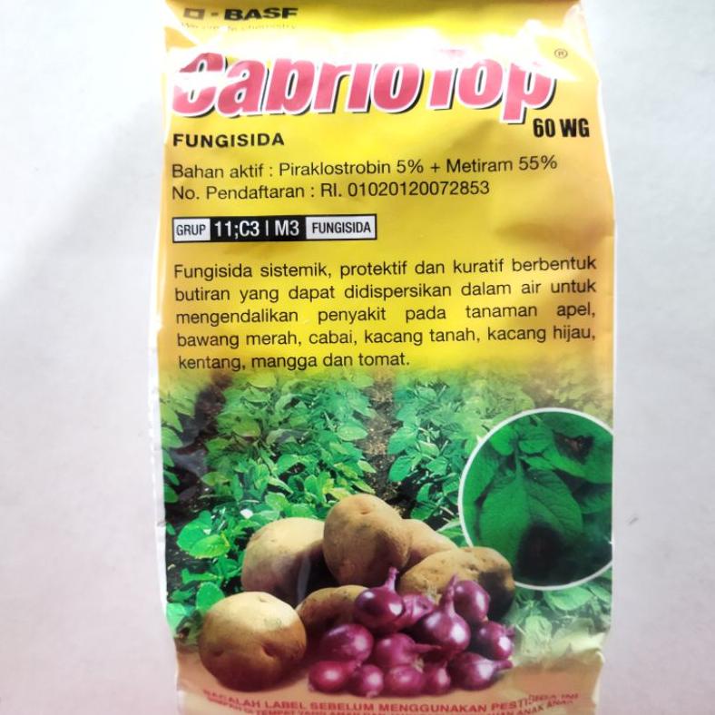 Fungisida CABRIOTOP 60WG 500gram, fungisida sistemik,protektif dan kuratif, obat pathek busuk buah p