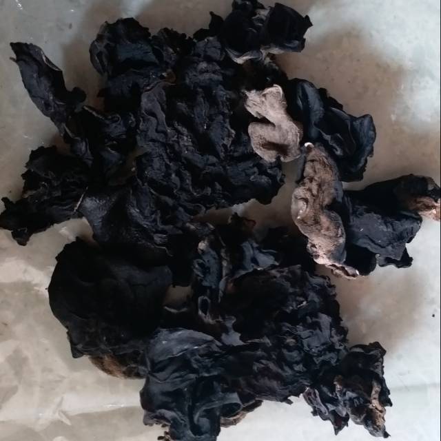 

1Kg Jamur Kuping Hitam Kering Dried Bla Fungus Su Brand Jamur Kuping Sup Kimlo Tus Dan Bahan Olahan