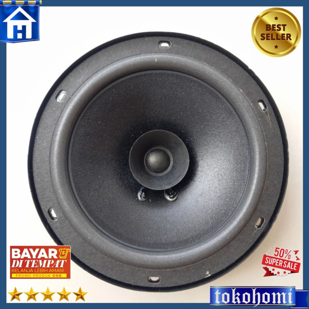 Audio Speaker 6 Inch Fullrange Audio 100Watt Full Range