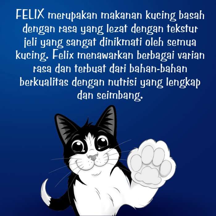 FELIX Kitten Chicken Makanan Kucing Basah 85gr [Buy 1 Get 1 Free]