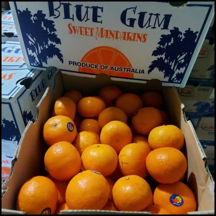 

HOT DEAL BUAH JERUK HONEY MURCOT AUSTRALIA 8,5 KG/ JERUK FRESH IMPORT/ KADO !!!!!