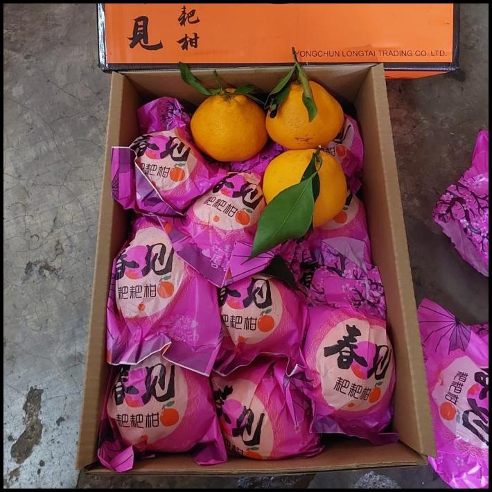 

HOT DEAL JERUK DEKOPON ISI 10 PIS/ BUAH JERUK IMPORT / HAMPERS !!!!