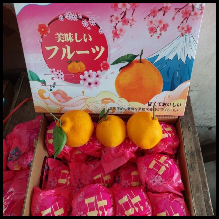 

DISKON BUAH JERUK DEKOPON IMPORT MANIS/ DEKOPON FRESH/ ORANGE FRUIT/ KADO !!!!!