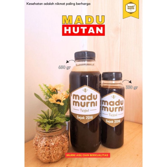 

MADU HUTAN MURNI 100% ASLI