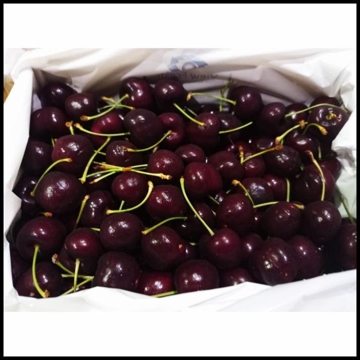 

TERMURAH BUAH CHERRY TASMANIAN 2 KG FRESH MURAH/ PREMIUM FRUIT/ KADO !!!!!!