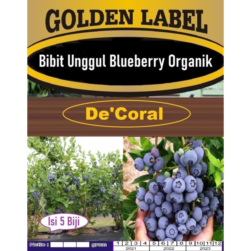 Bibit Unggul Blueberry Organik|Benih Blueberry Organik|Bibit Blueberry