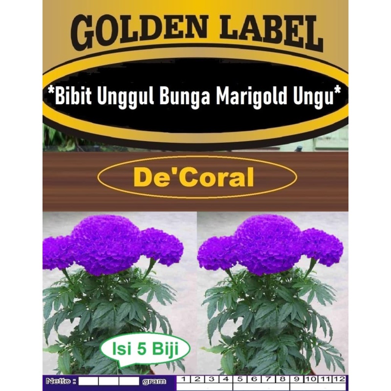 Bibit Unggul Bunga Marigold Ungu | Biji Benih Bunga Marigold Ungu