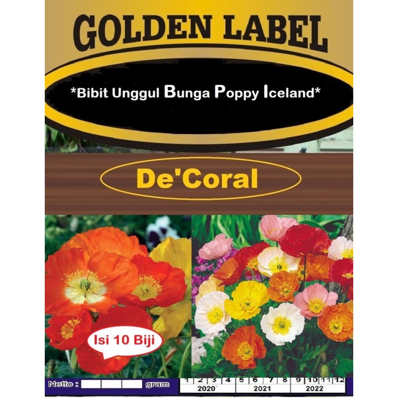 Bibit Unggul Bunga Poppy Iceland | Benih Bunga Poppy Iceland