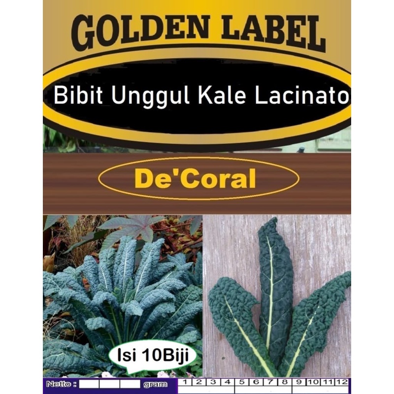 Bibit Unggul Kale lacinato | Biji Benih Kale lacinato |Biji Bibit Kale