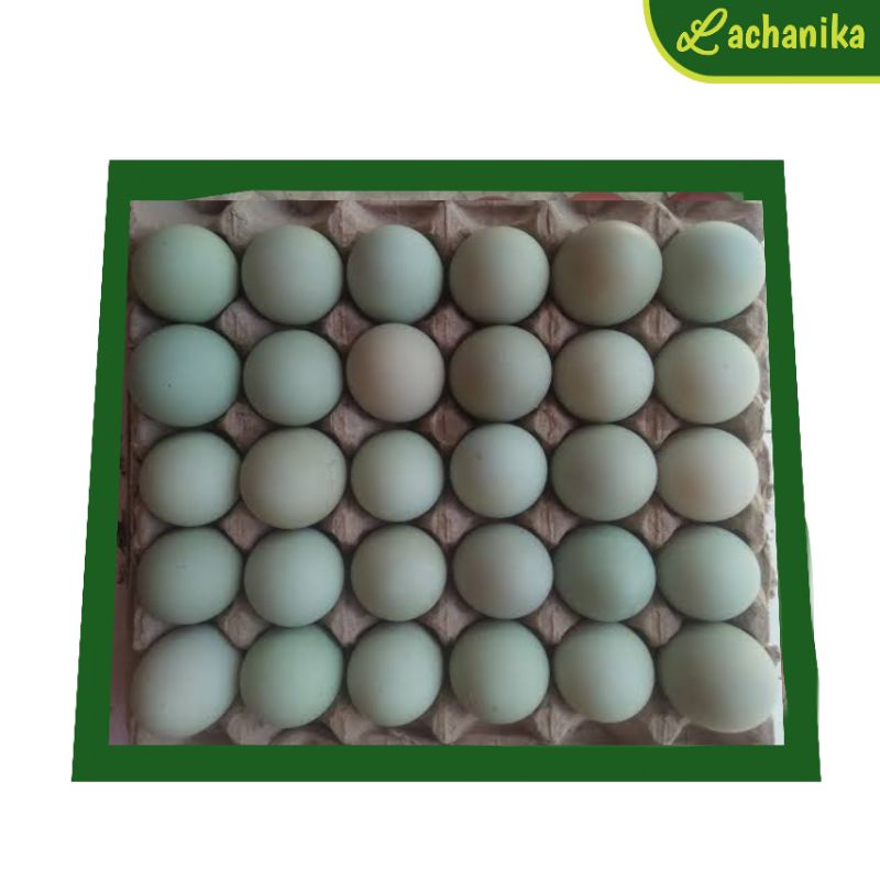 

Telur Bebek Mentah Segar 1tray 30pcs