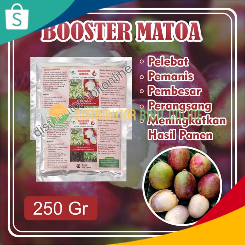 Booster Matoa, Bisa COD Pupuk Booster Buah Matoa, Pemicu Matoa Cepat Berbuah