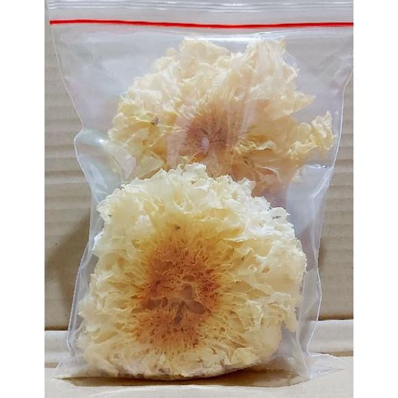 

Best - JAMUR SALJU | BOKNI PUTIH REPACK 50gr KUALITAS SUPER | PEKBOKNI | PEK BOKNI | JAMUR ~