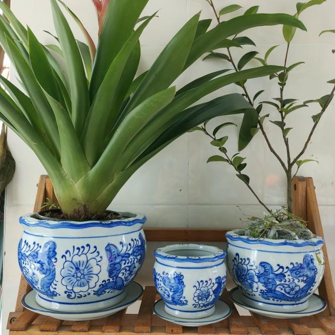 Diskon besar-besaran 3 pcs pot keramik bonsai Bulat/ pot tanaman kramik / vas bunga New 1099