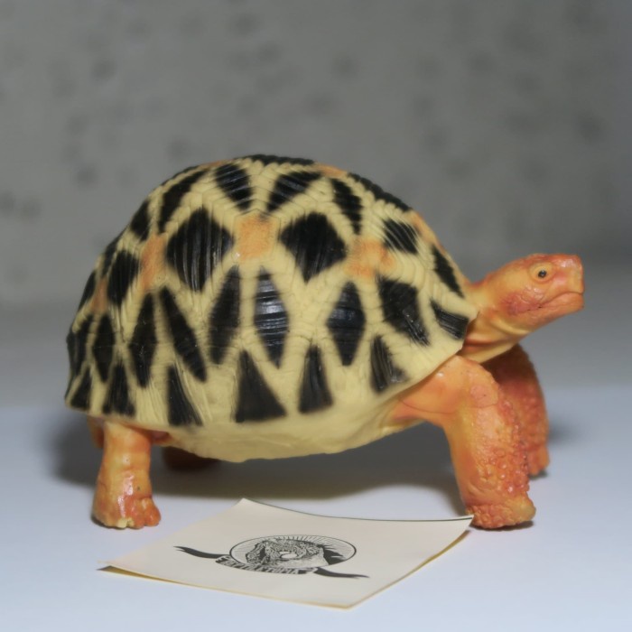 ✅Ready Replika Patung Kura Darat Indian Star Tortoise Bukan Sulcata Cherry Terbatas