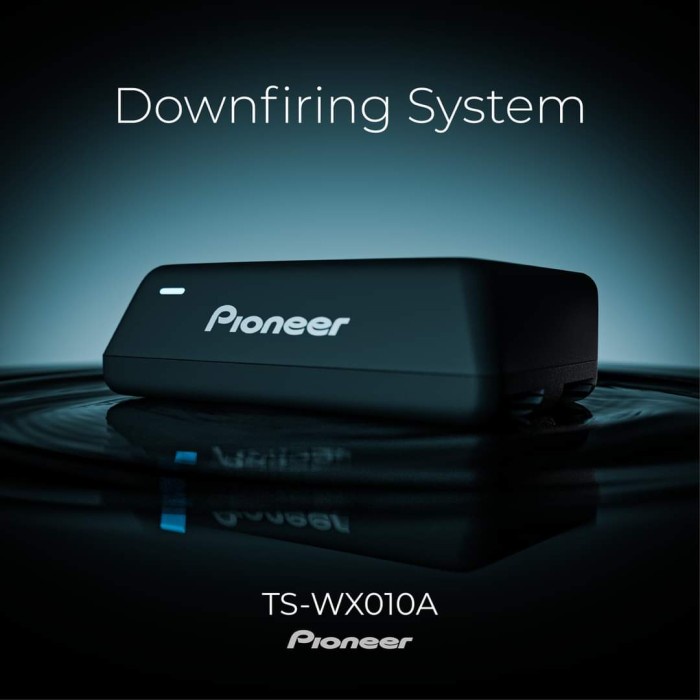 Subwoofer Slim Kolong Aktif Pioneer TS-WX010A (GARANSI RESMI) best
