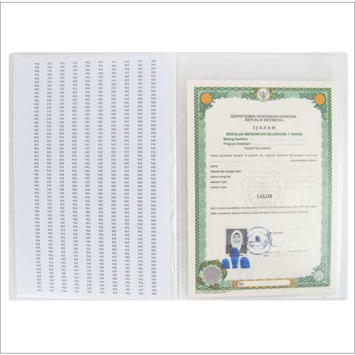 

Ready Eagle Files Clear Holder / Document Keeper / Display Book A4 60 Pocket High Quality