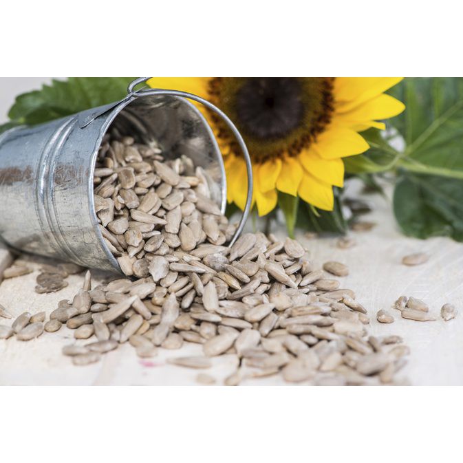 

Club Sehat - Sunflower Seed 1 Kg Biji Bunga Matahari Natural Mentah Kuaci Kupas