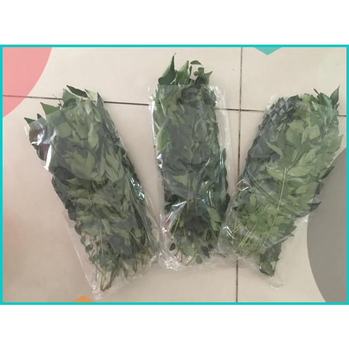 

Daun Kari Daun Salam Segar 50gr 20JVLZ3 perkakas tools