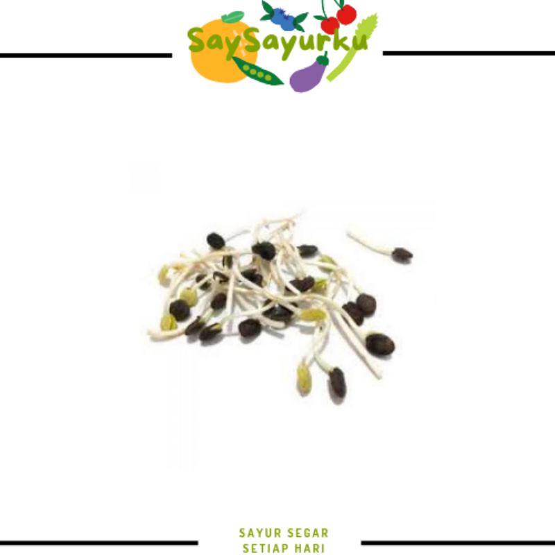 

CAMBAH IJO ALE KECAMBAH KEDELAI