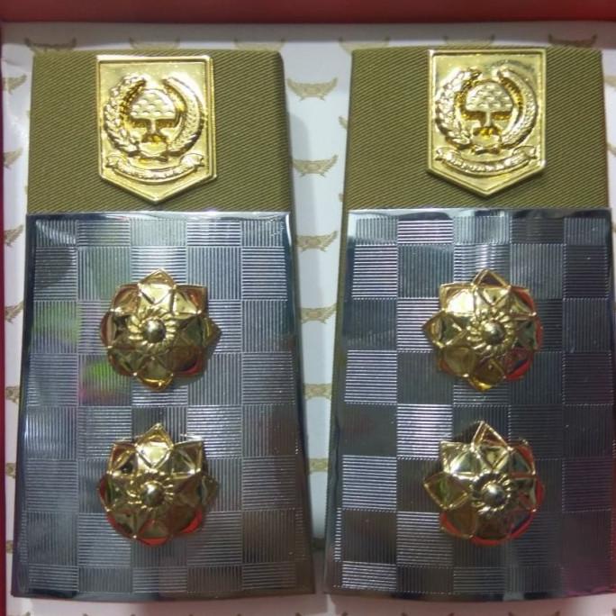 Pangkat bupati dan wakil bupati PDU