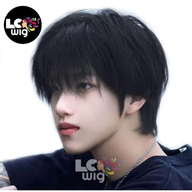 WIG PRIA PENDEK RAMBUT PALSU LAKI LAKI TAMPAN