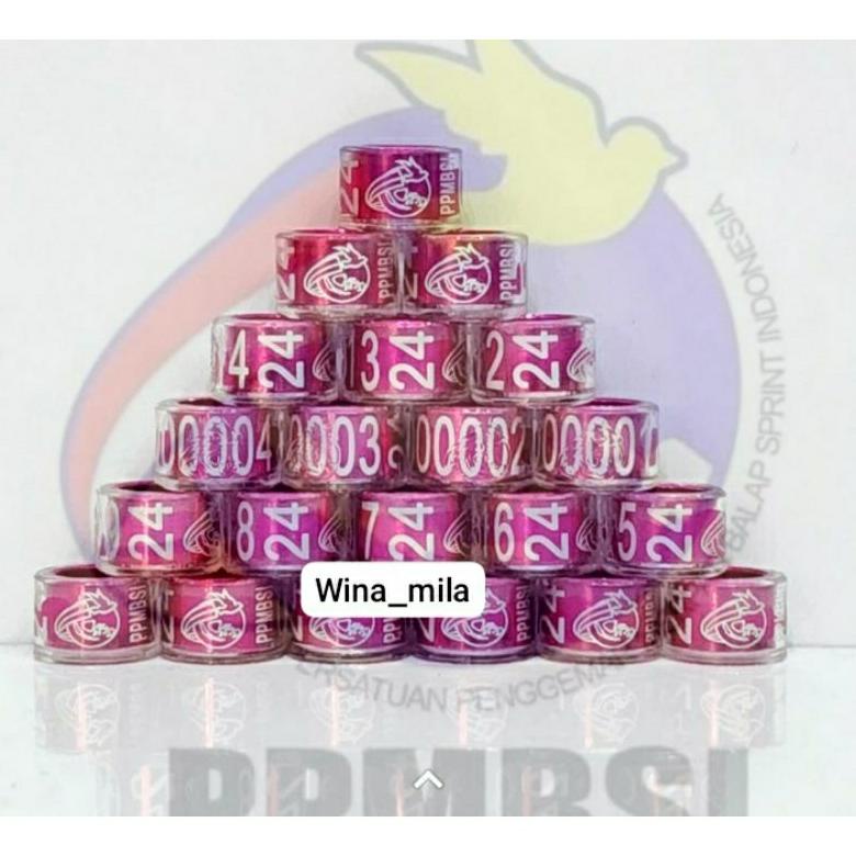 Special - Ring Merpati Balap PPMBSI 2024 Original 10biji !