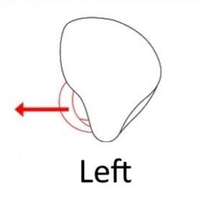 Kz Zsn Kz Zsn Pro Replacement Satuan Earphone Kiri Dan Kanan - Zsn Pro Kiri Audio Ready