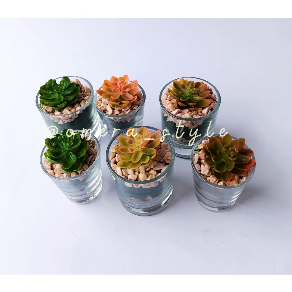 Mini Terarium Tanaman Kaktus Sukulen Pot Artificial Succulent Cactus Glass Potted Terrarium