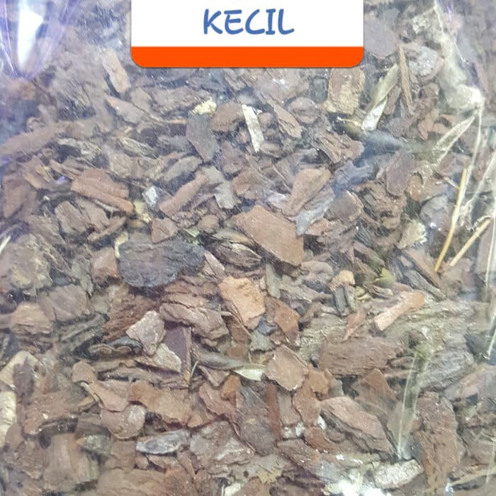 1Kg Forest Bark 1 Kg Alas Kandang Reptil Sulcata Aldabra Iguana Rhino Ch Rf Bearded Dragon