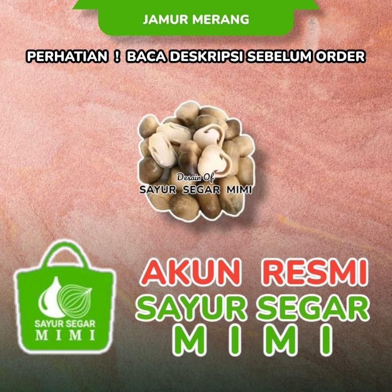 

Terbaru - Jamur Merang / Jamur Sawit - SAYUR SEGAR MIMI PALEMBANG !