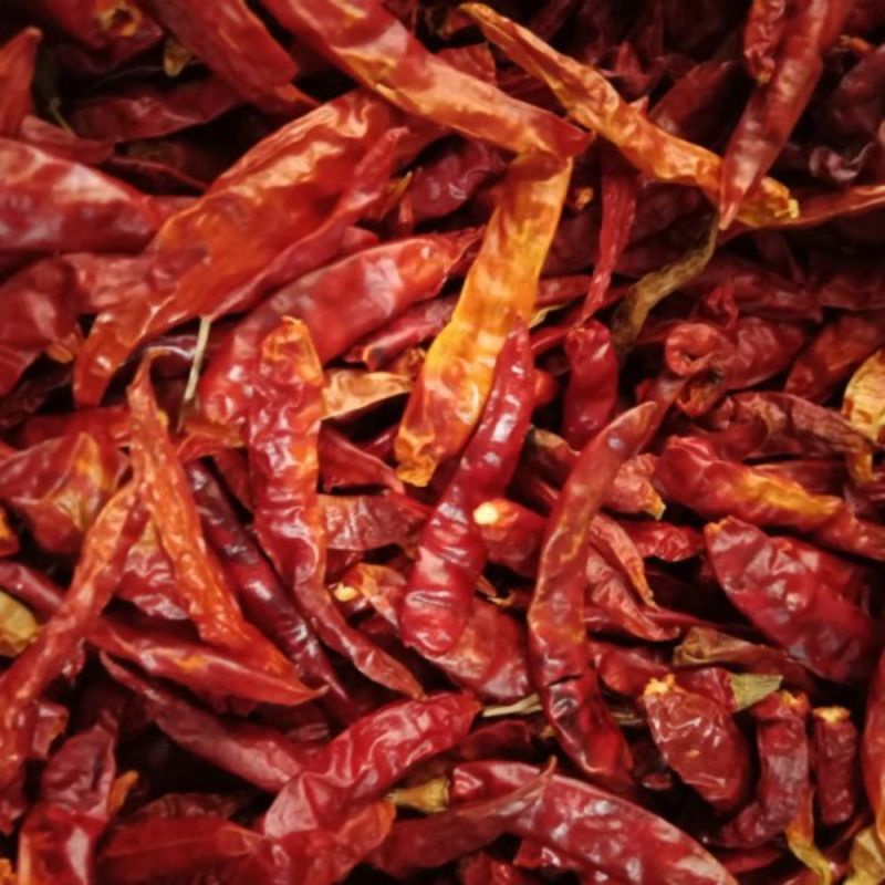 

Cabe Japlak Sambal Pedas Khas Seblak Bandung