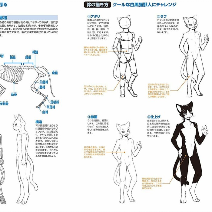 FLASH SALE HOW TO DRAW ANTHRO / FURRY / ANIMAL / BEASTMEN [KEMONO] TERMURAH