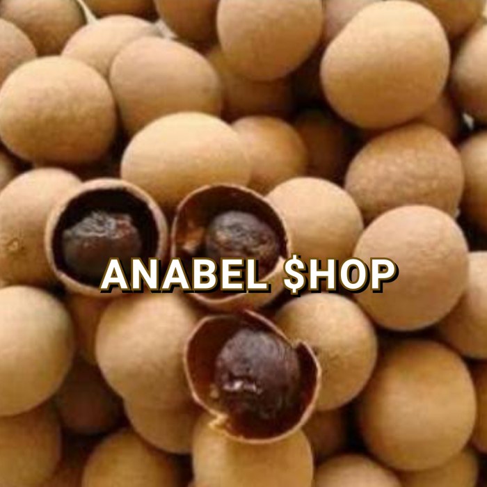 

Dried Longan With Shell Lengkeng Kering Dengan Kulit 500 gram