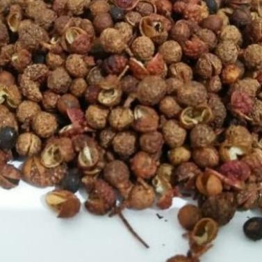 

Baru Sichuan Peppecorn / Andaliman / Sichuan Peppern 250 Gram