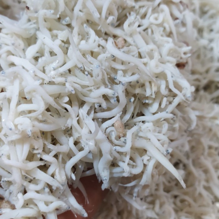 

Ikan Asin Teri Nasi Medan Kecil Netto-1Kg