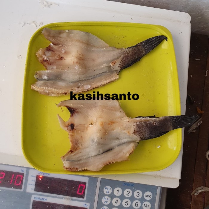 

Ikan Asin Gabus 1Kg