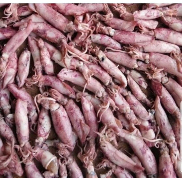 

Cumi Asin 500Gr - Bawangbagus